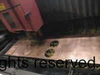AutoClear I Series in Copper in Production