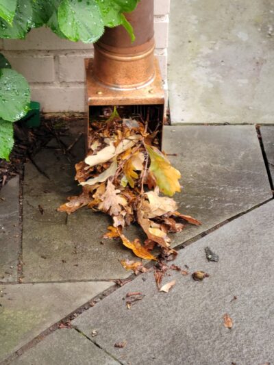 autoclear-leaf-debris-diverter-filter-cleanout-clean-out-screen-1 I-Series AutoClears with Standard Rod Packs Leaf and Debris Diverter Filter Screens Cleanouts for Copper Downspouts